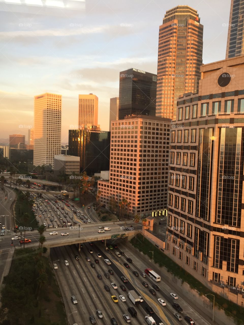 View from the office