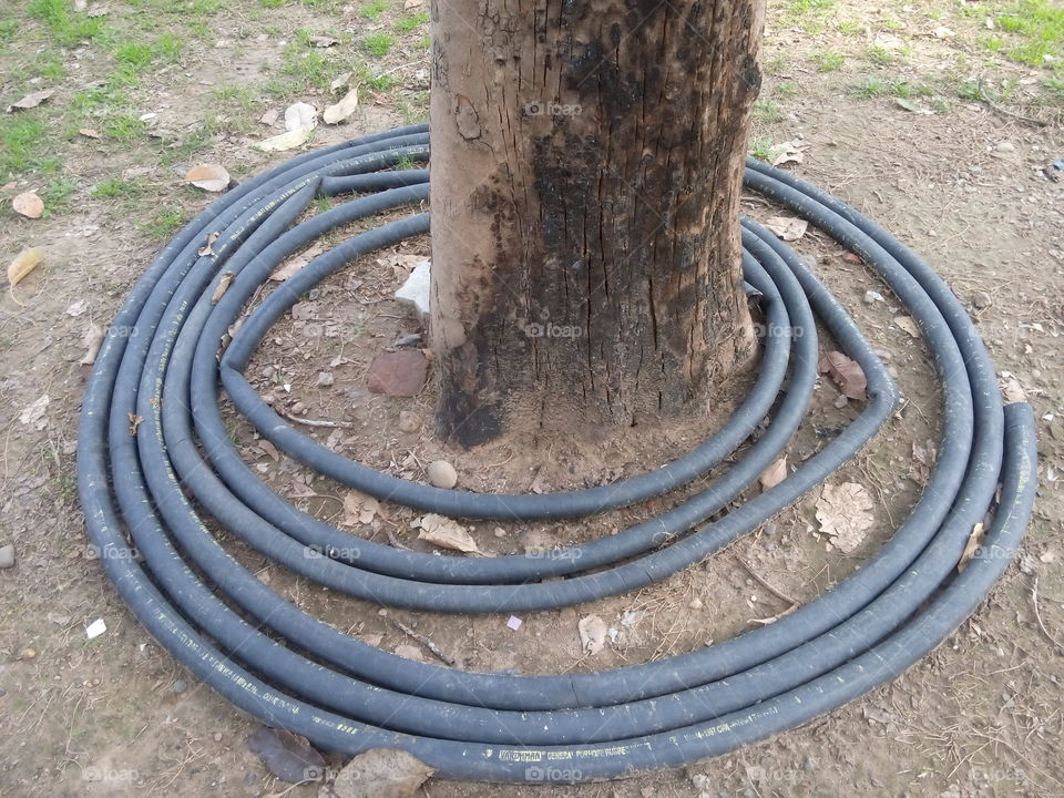 pipe tree