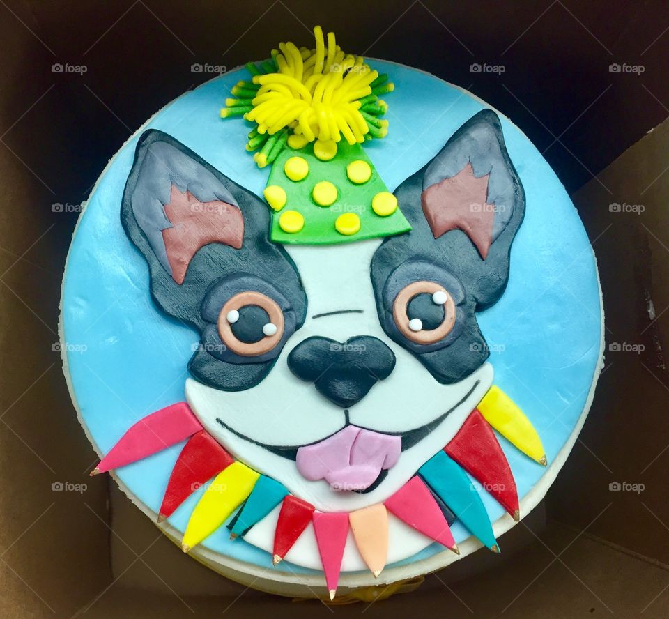 Boston Terrier cake