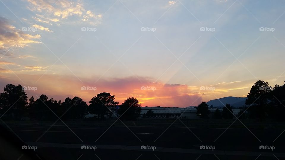 Gorgeous sunset amidst clouds and various trees in Flagstaff, Arizona