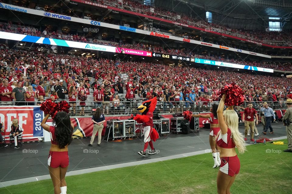 Few things have more noise and energy than the sidelines of a competitive professional football game