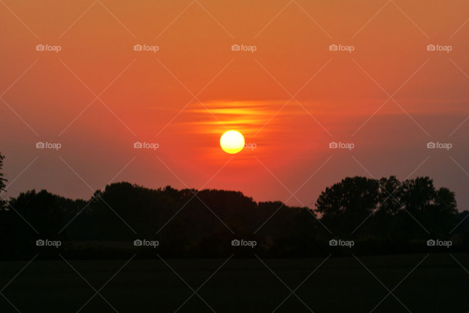 twilight sky field yellow by somebeach