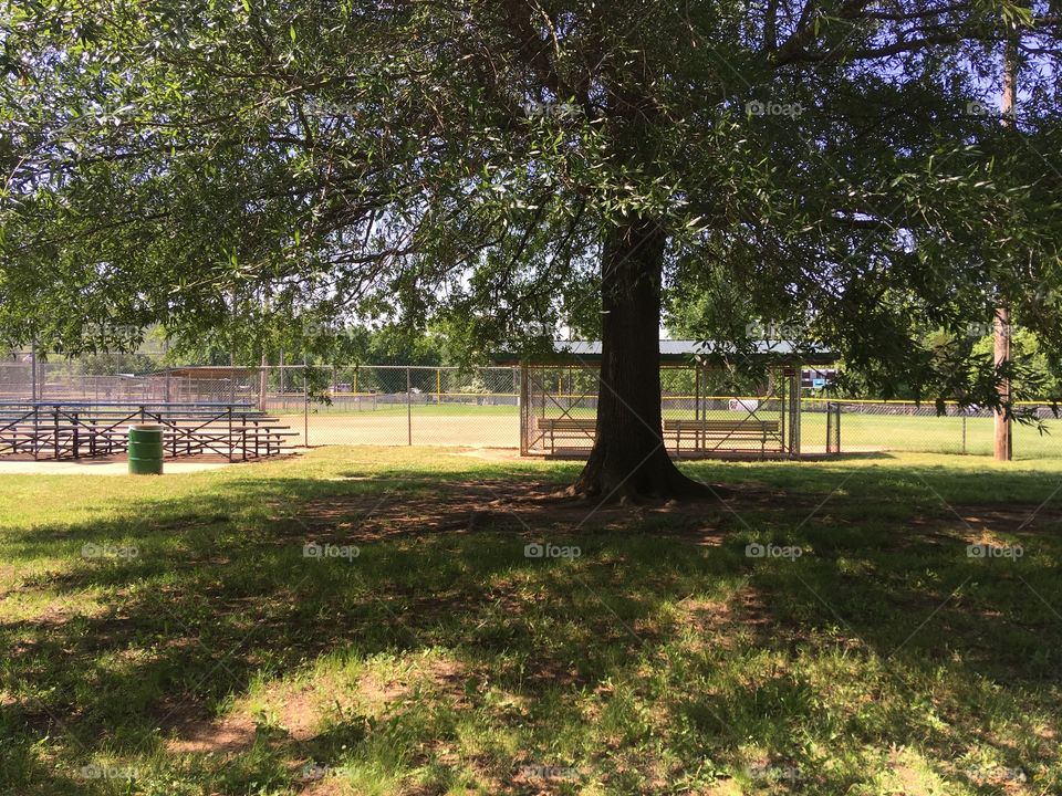 At the park facing the baseball field on a bright sunny windy day still morning.