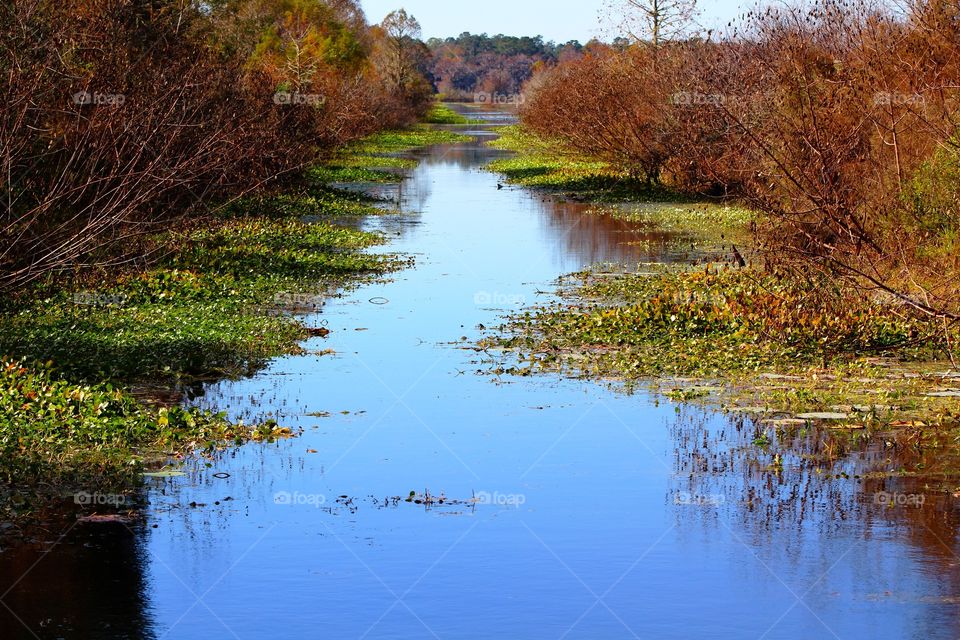 Canal through the forest