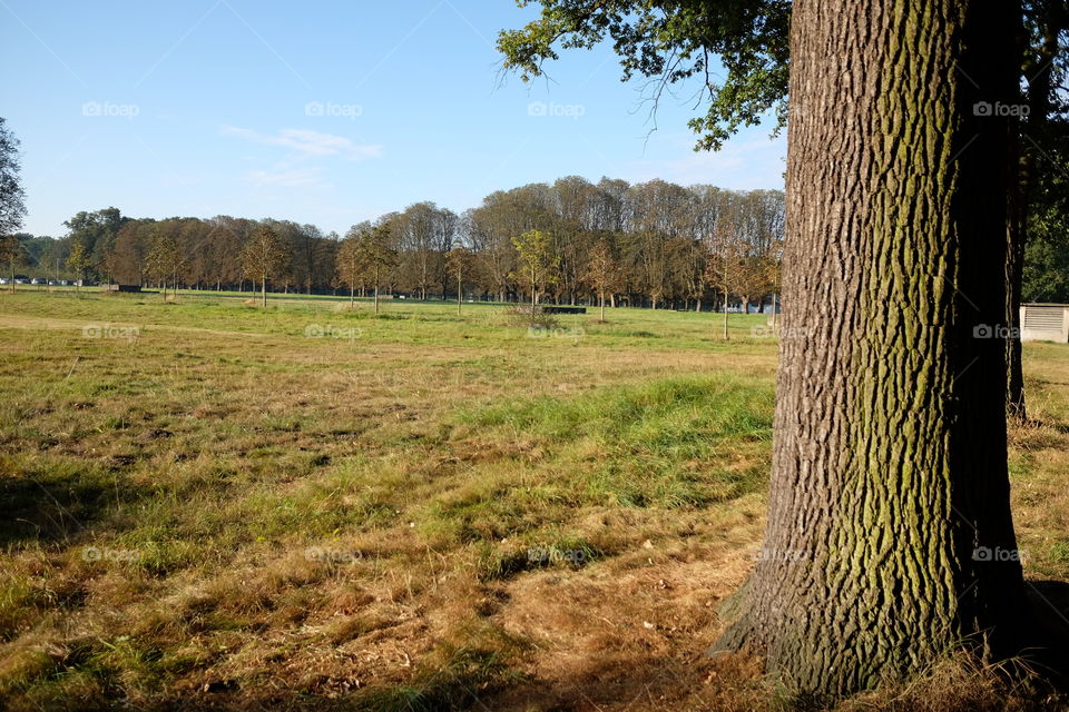 Field in Nachtegalepark in Antwerp