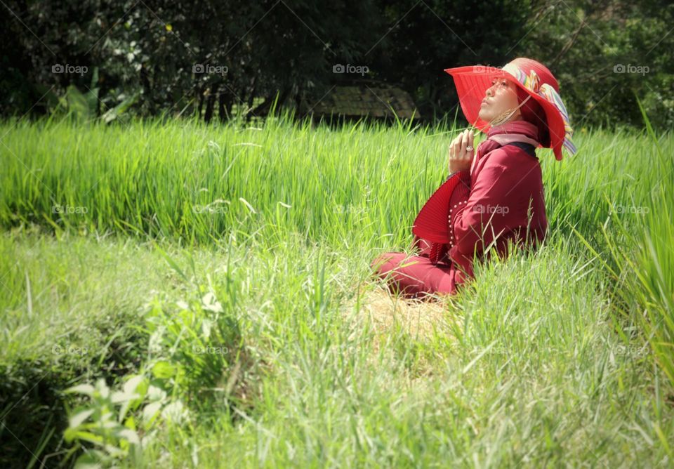 in the rice field