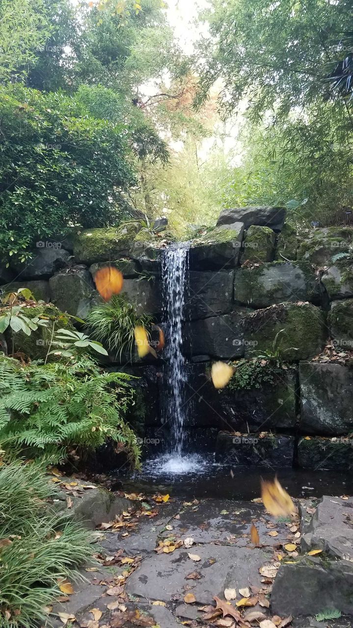 Waterfall at rosemoor, North Devon