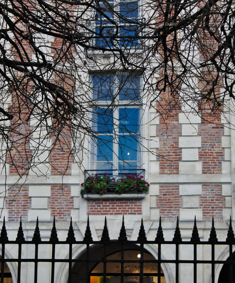 window in the wall paris