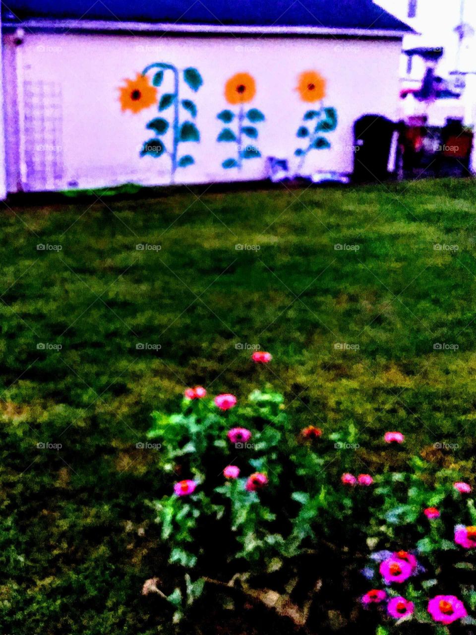 A backyard with pink flowers and painted sunflowers on the garage.