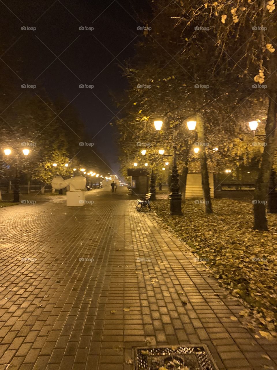 night city street in autumn