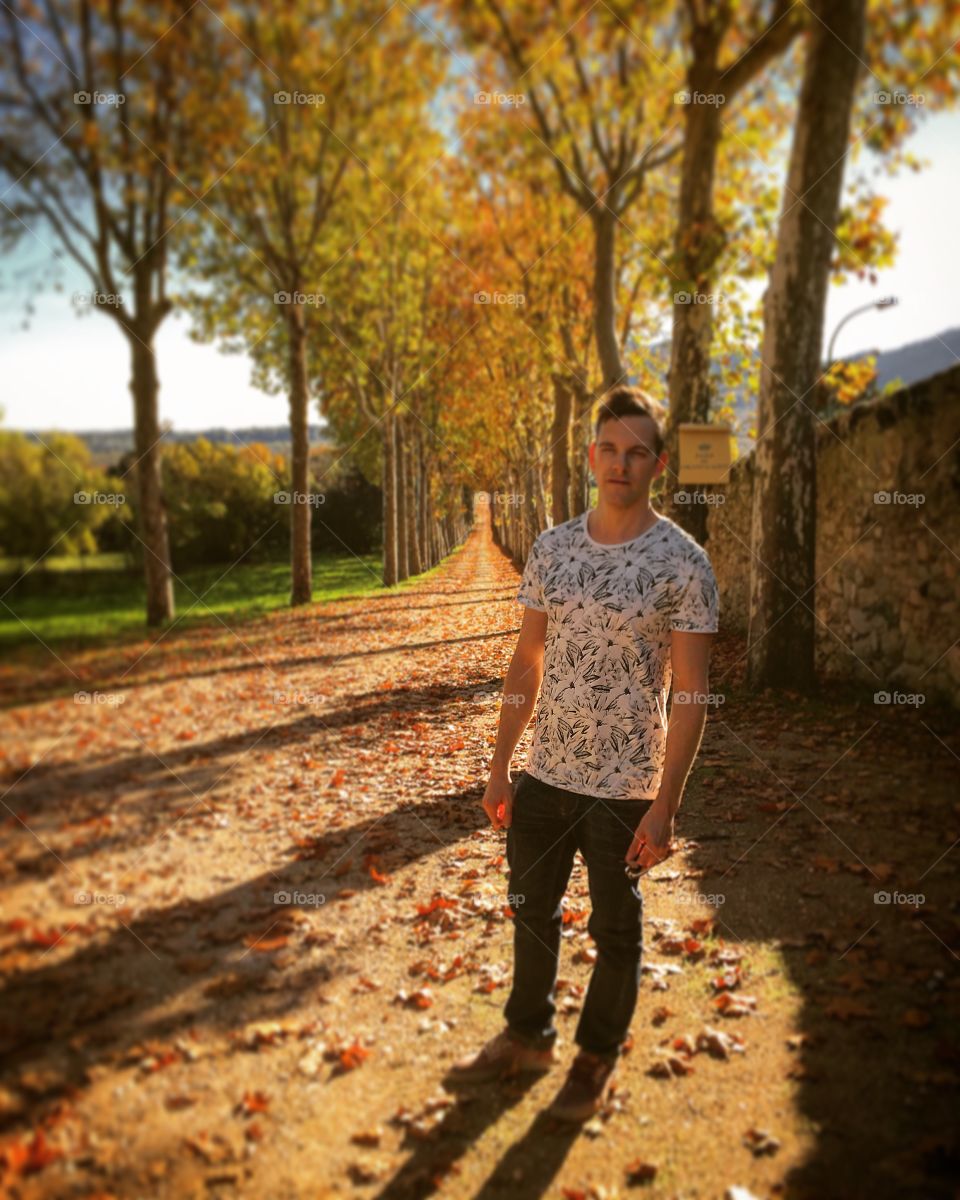 El Escorial in autumn colours