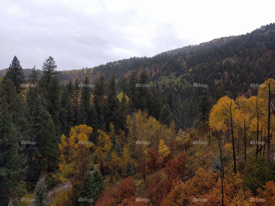 Fall, Colorado
