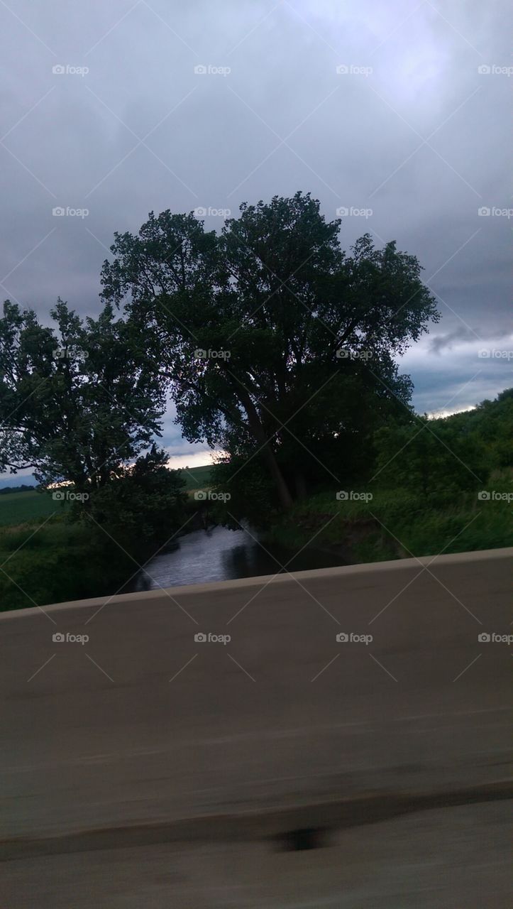 Landscape, Tree, Water, Lake, No Person