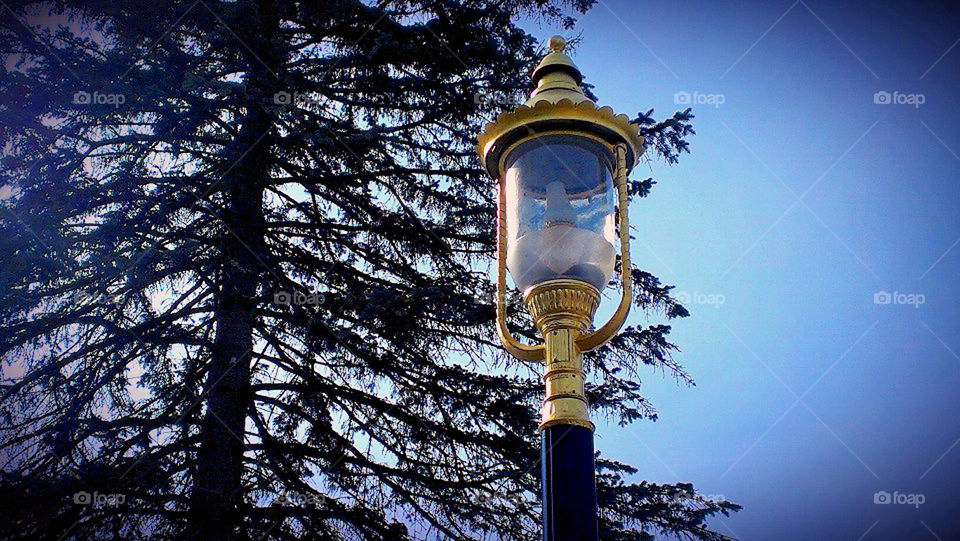 Lamppost