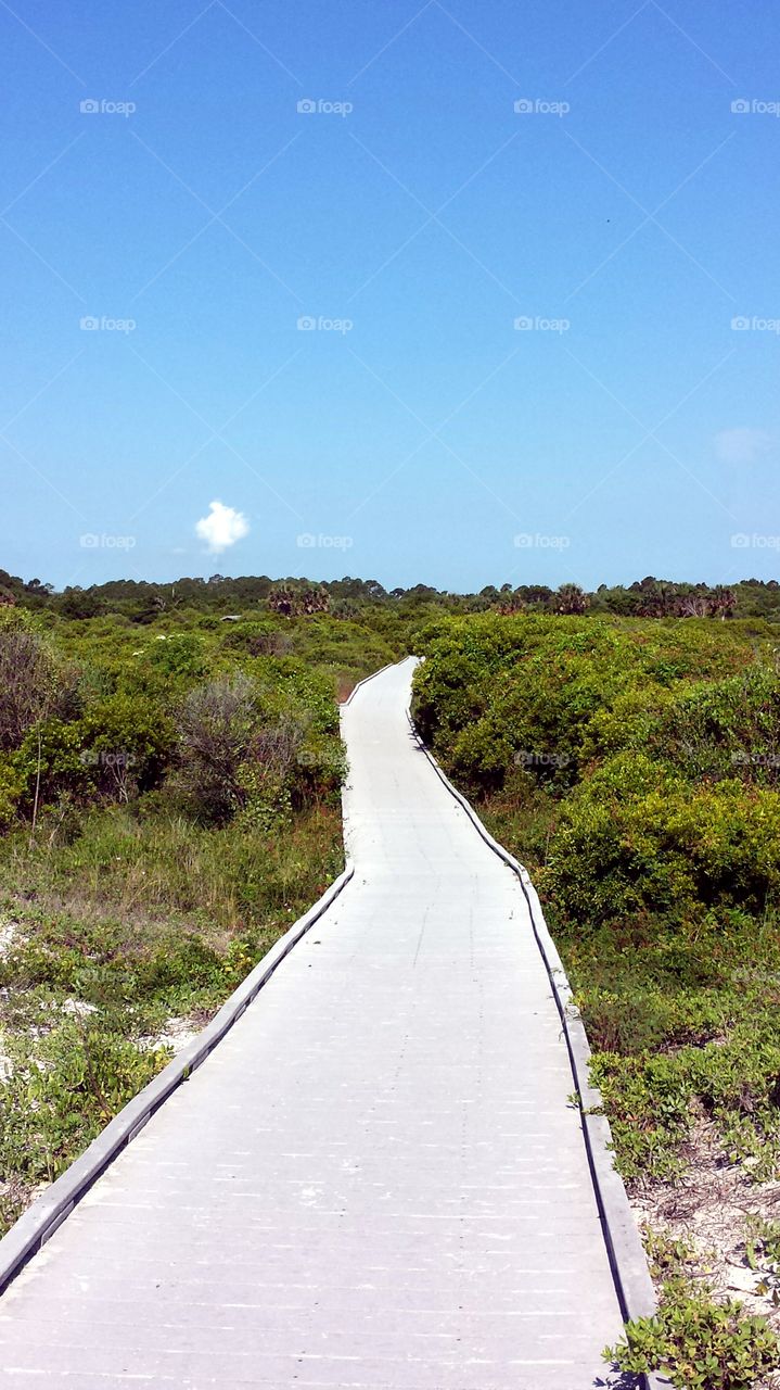 Beach Walkway