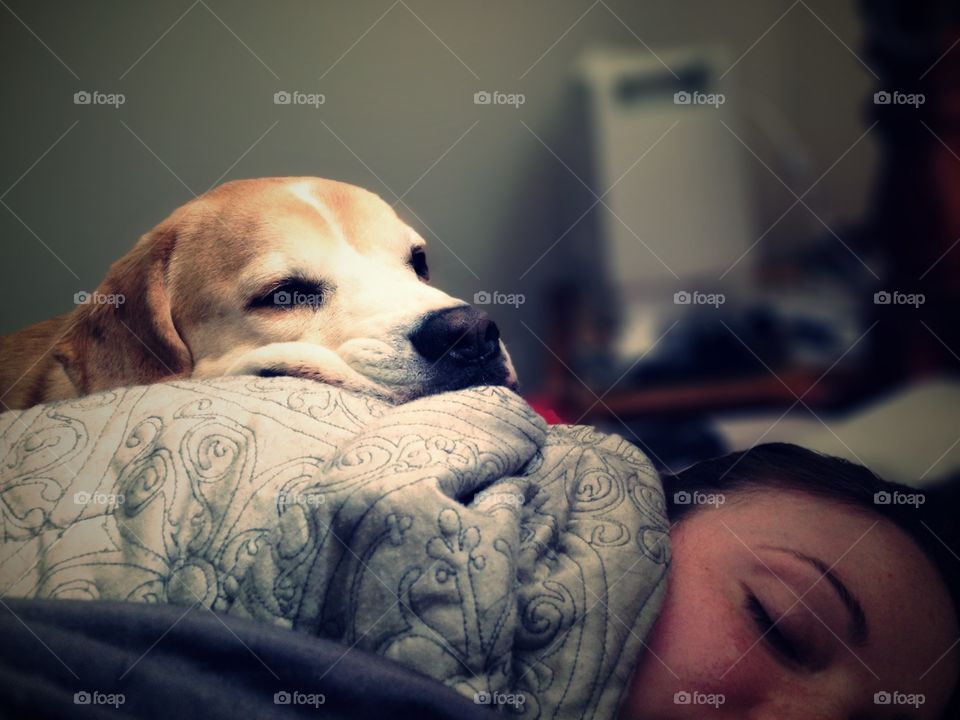 Strange bedfellows . This big ol' goofy dog is laying his flappy jowls all over this woman as she sleeps. 