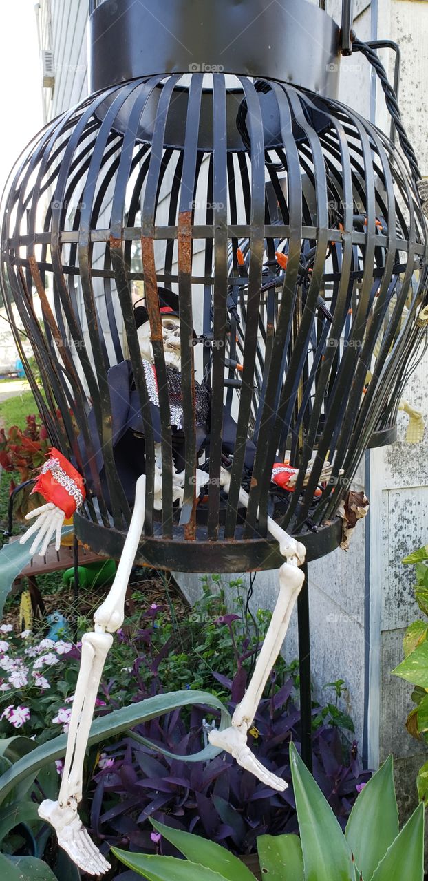 Halloween decorations