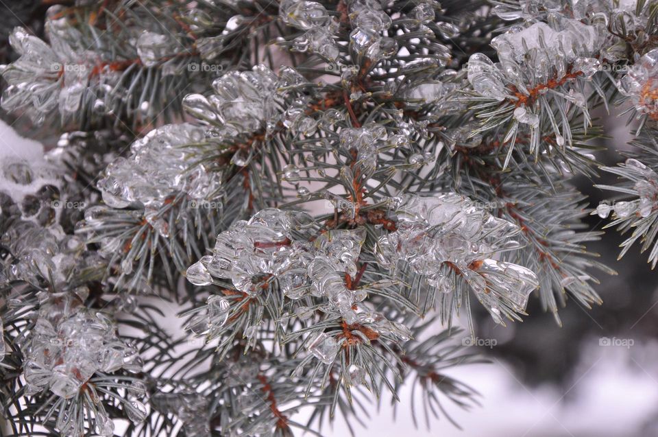 Winter in Moldova