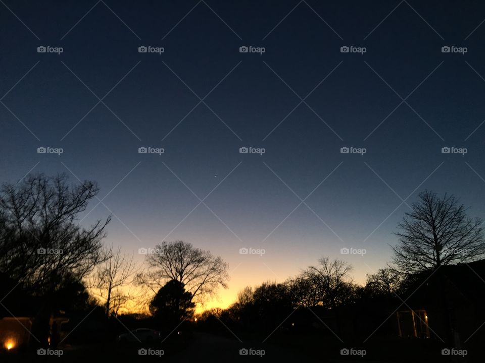 shadow of trees and sunset 