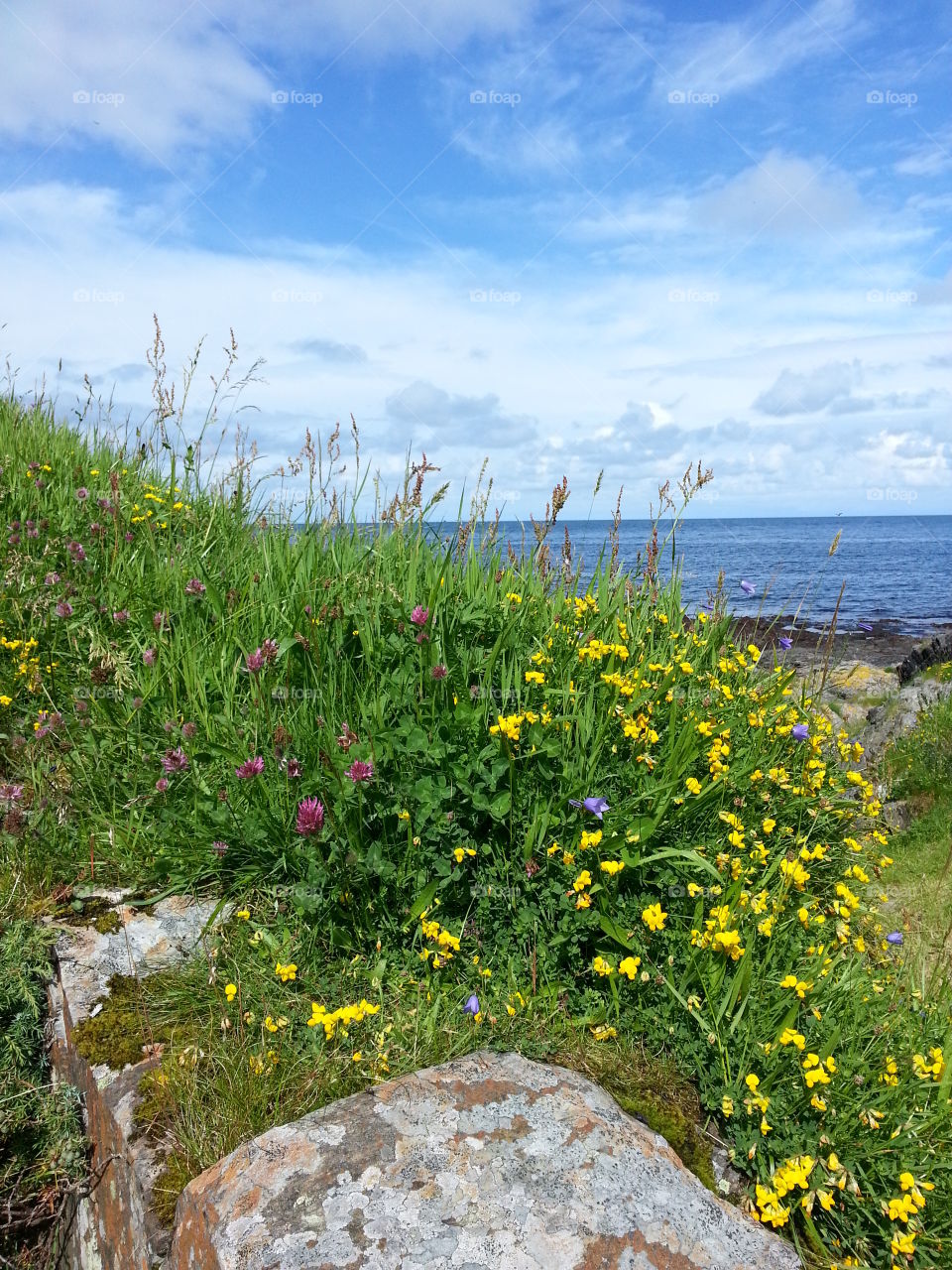 Summer vacation in Norway Runde island.