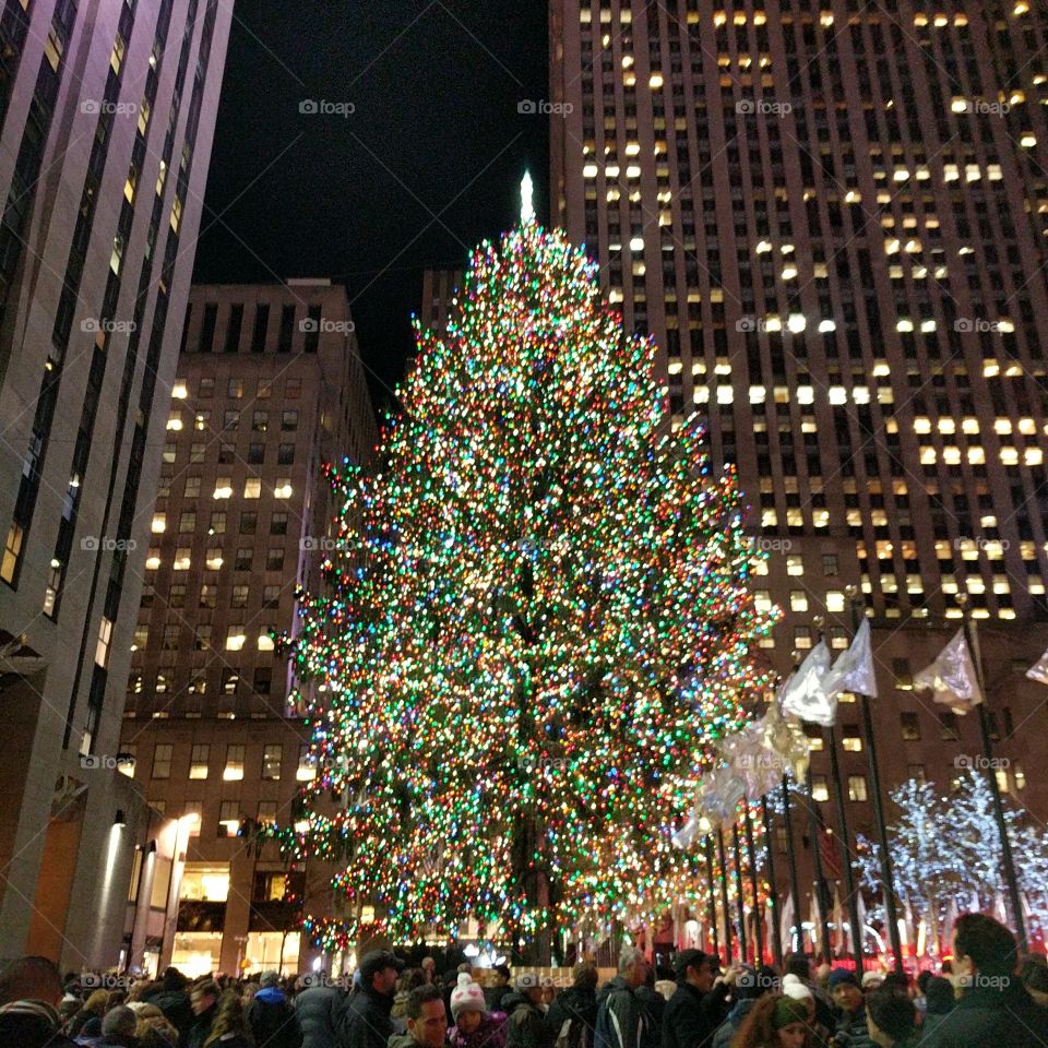 Tree at Rockefeller