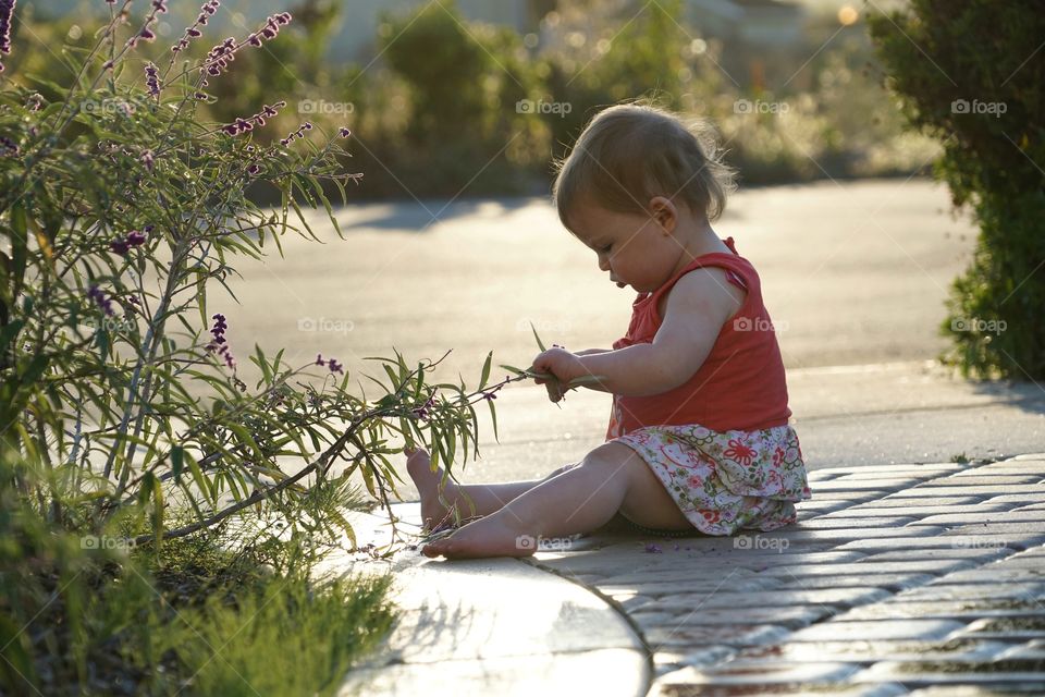 Child, Girl, Summer, Nature, Outdoors