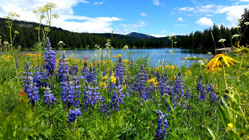 A Splendid Summer Day. At Lake Irwin in Crested Butte, Colorado.