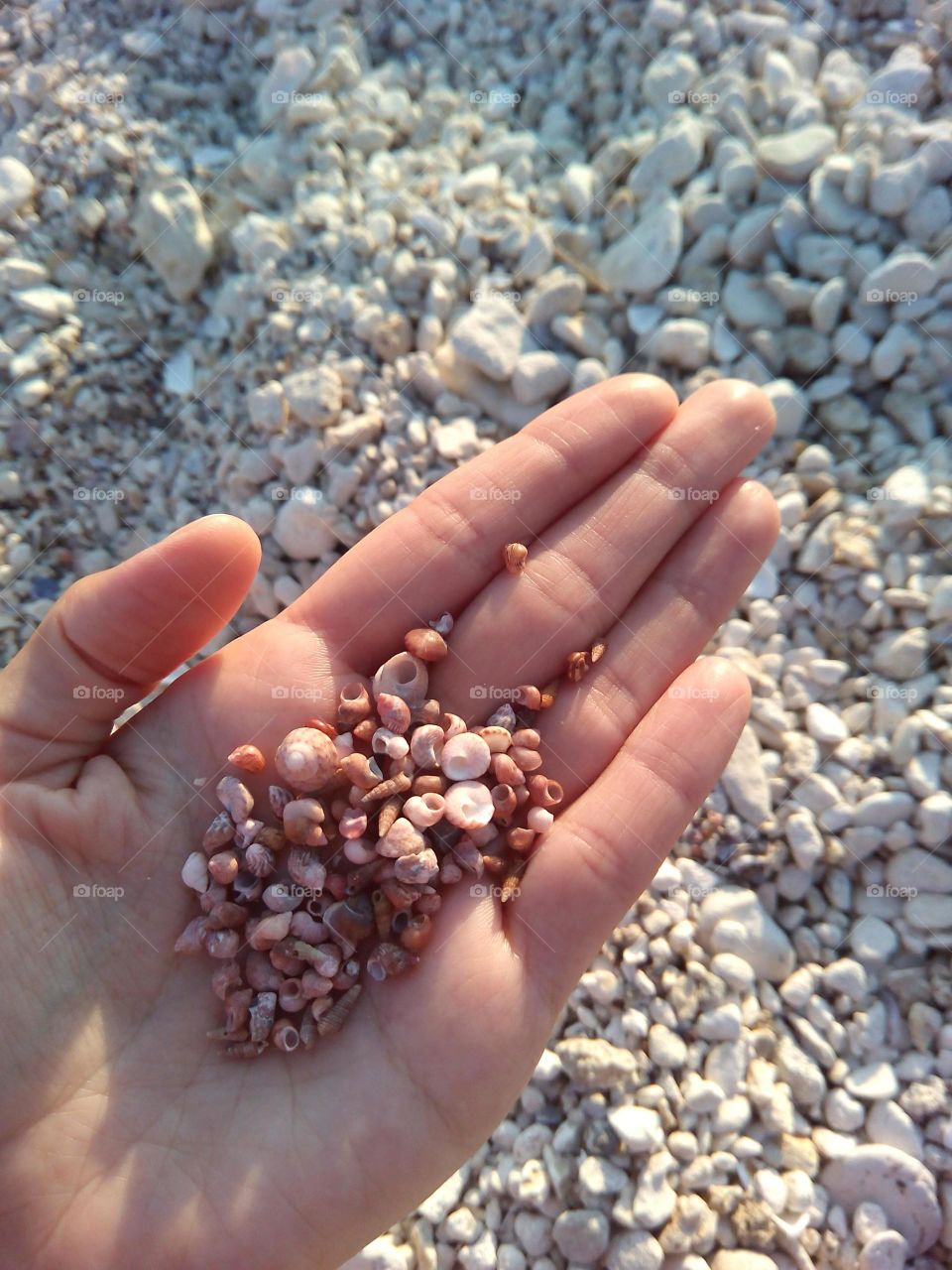 Nature, Sand, Beach, Outdoors, Gravel