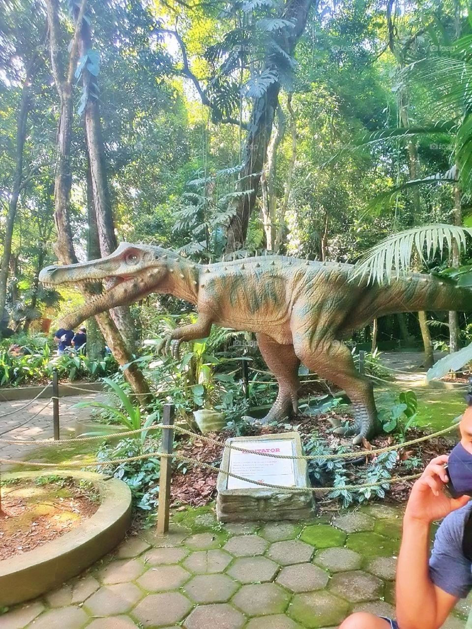 grass entrance city scene parrot graphic feed colorful beautiful little trip activity savannah fur tourism farm holiday childhood monkey funny natural cage zebra garden fauna toddler lion tiger pet baby tree animals bird forest elephant vacation char