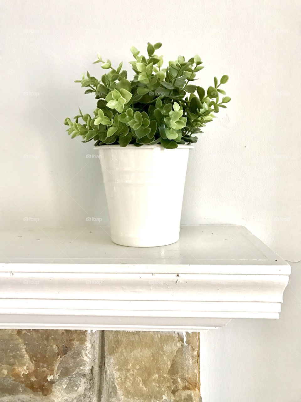 Plant on Mantel