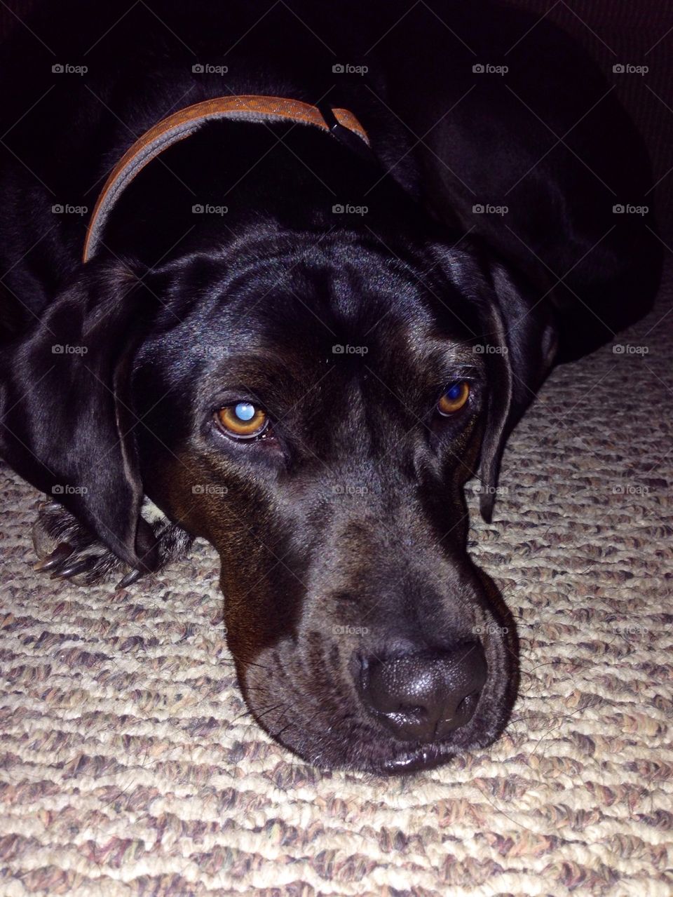 Luke with a pout face