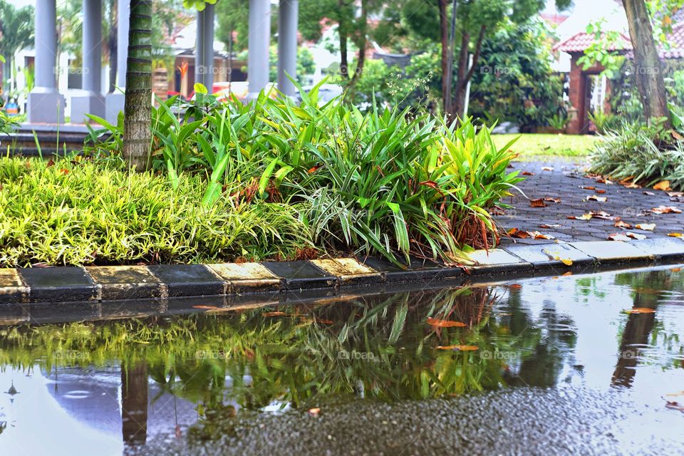 corner of the street, after rain