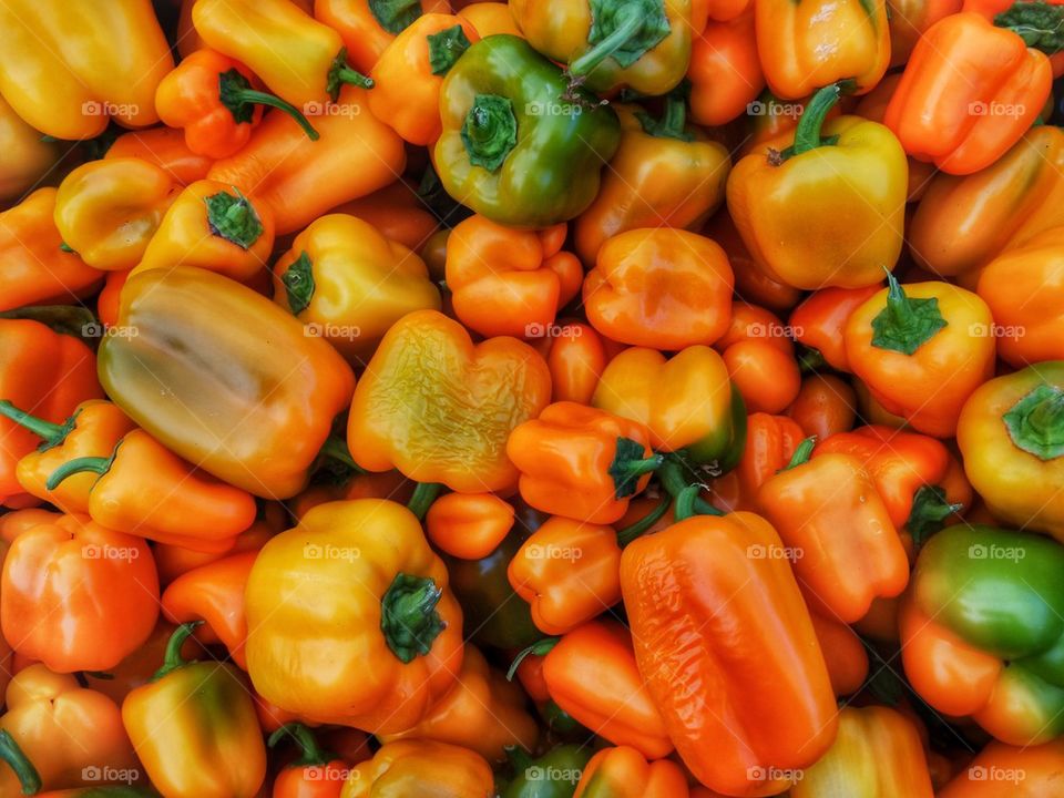 Colorful Bell Peppers