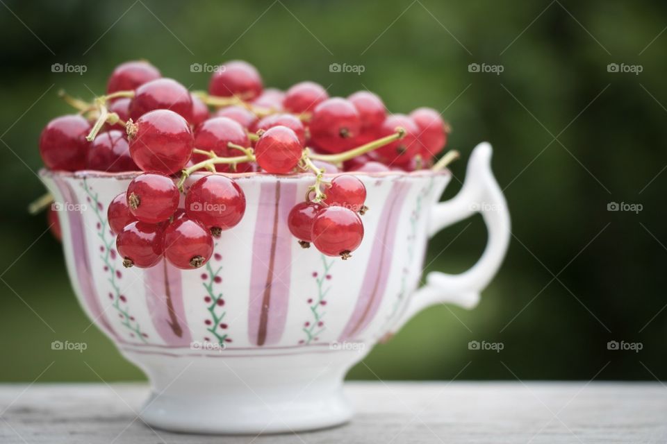 Red currant in a Cup
