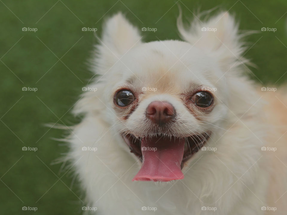 Hello.... Do you want to play with me?