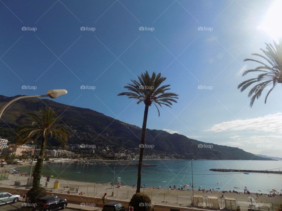 Most beautiful palms I ever seen were in Menton,France