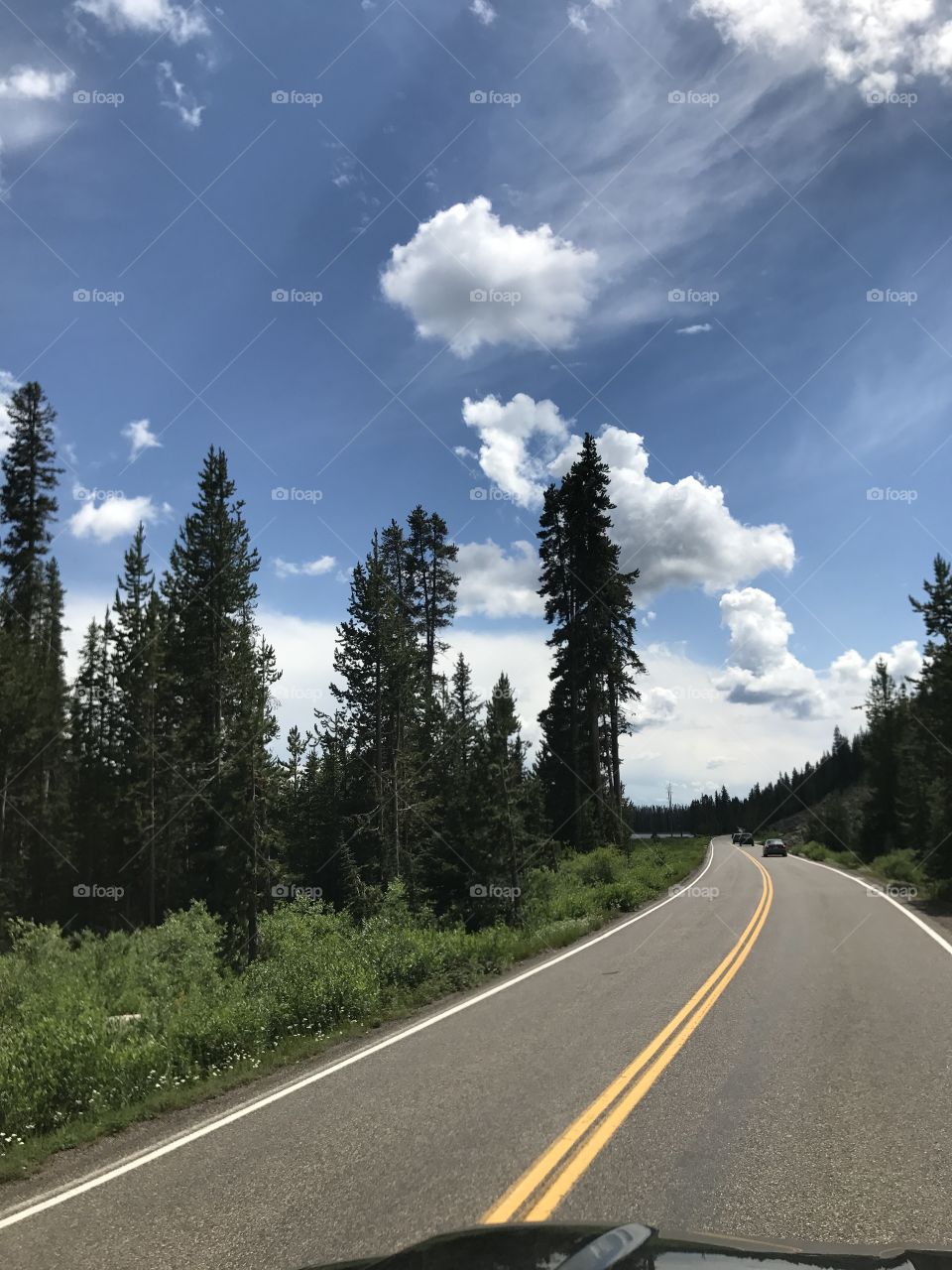 Nature road