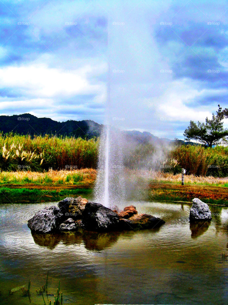 Geyser on idyllic lake