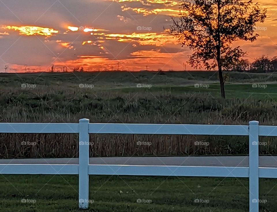 beautiful sunset over the field