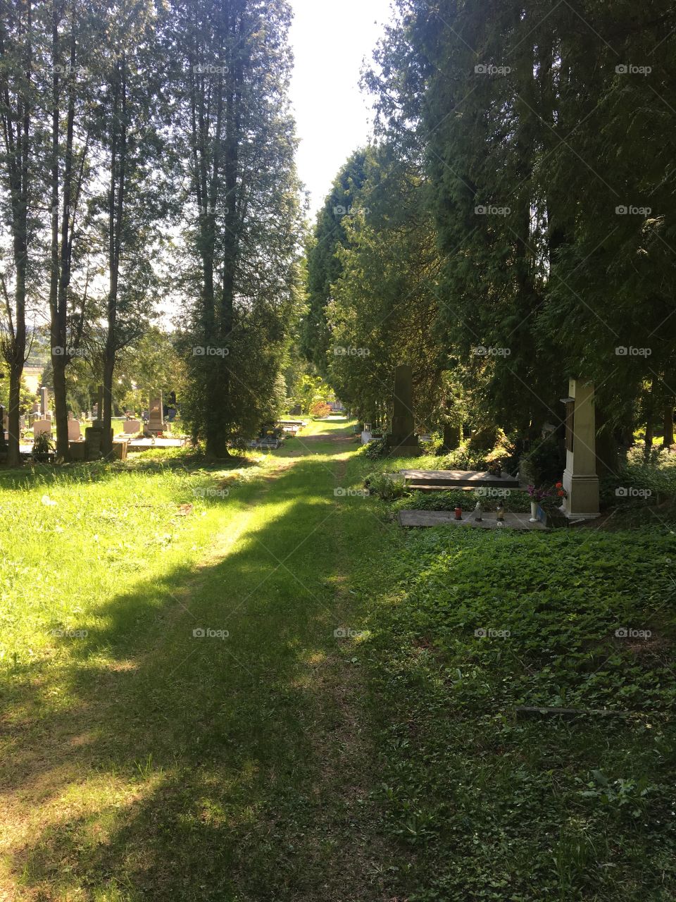 Cemetary