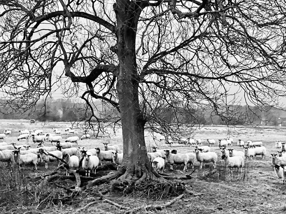 Winter in South England 