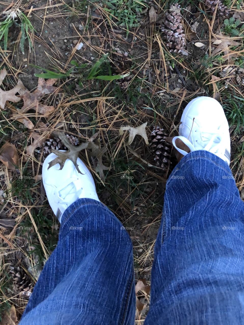 October afternoon fall  walk ground covered pine cones , leaves , grass sneakers 