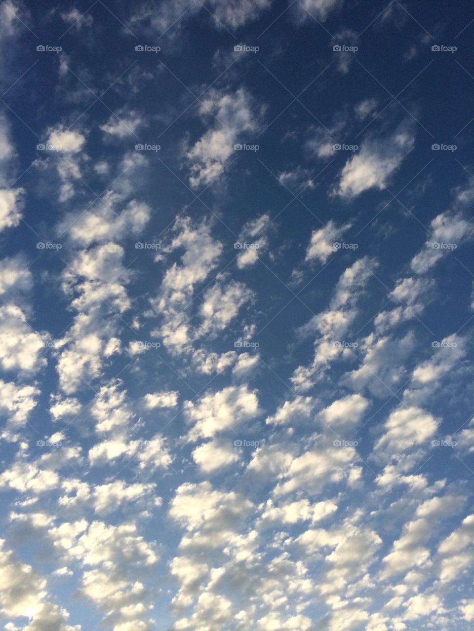 Summer clouds 