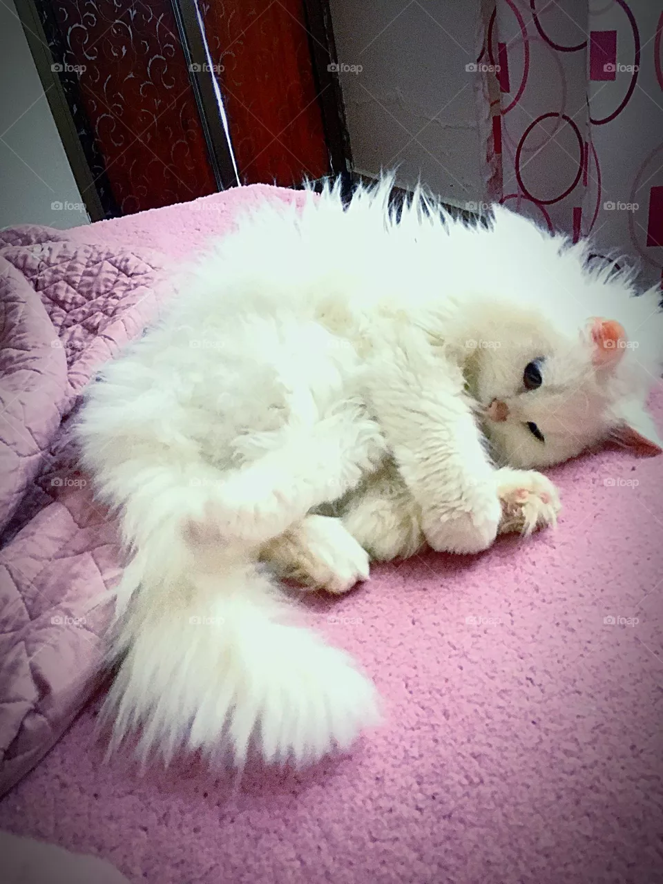 Resting