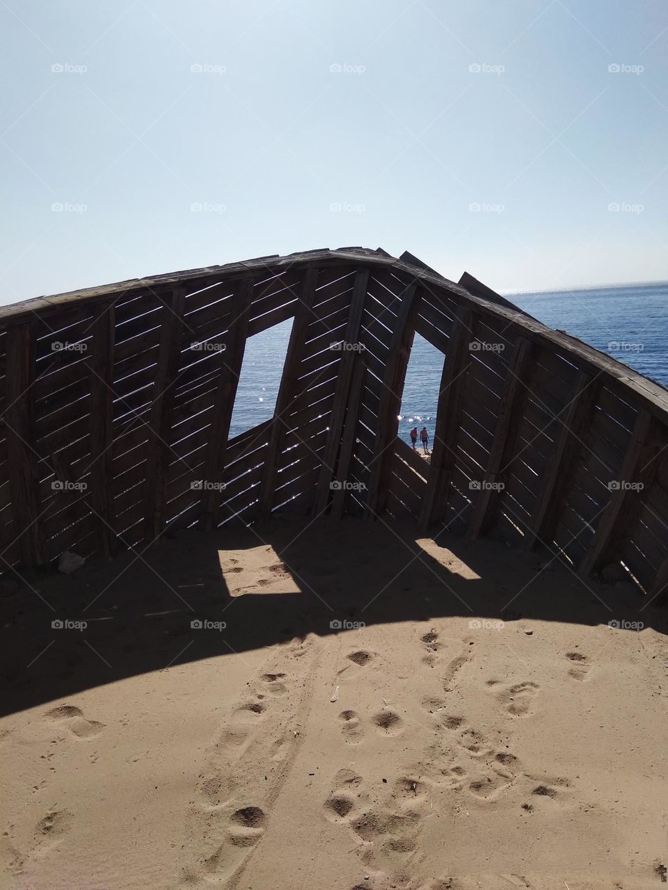 editors Choice photo on the week