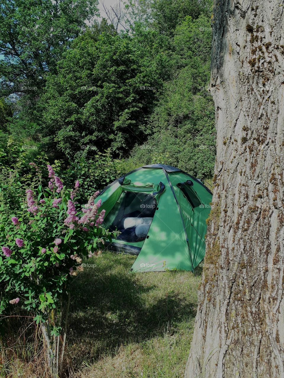 Camping in the woods.