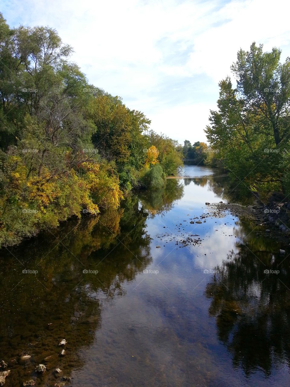 river. summer