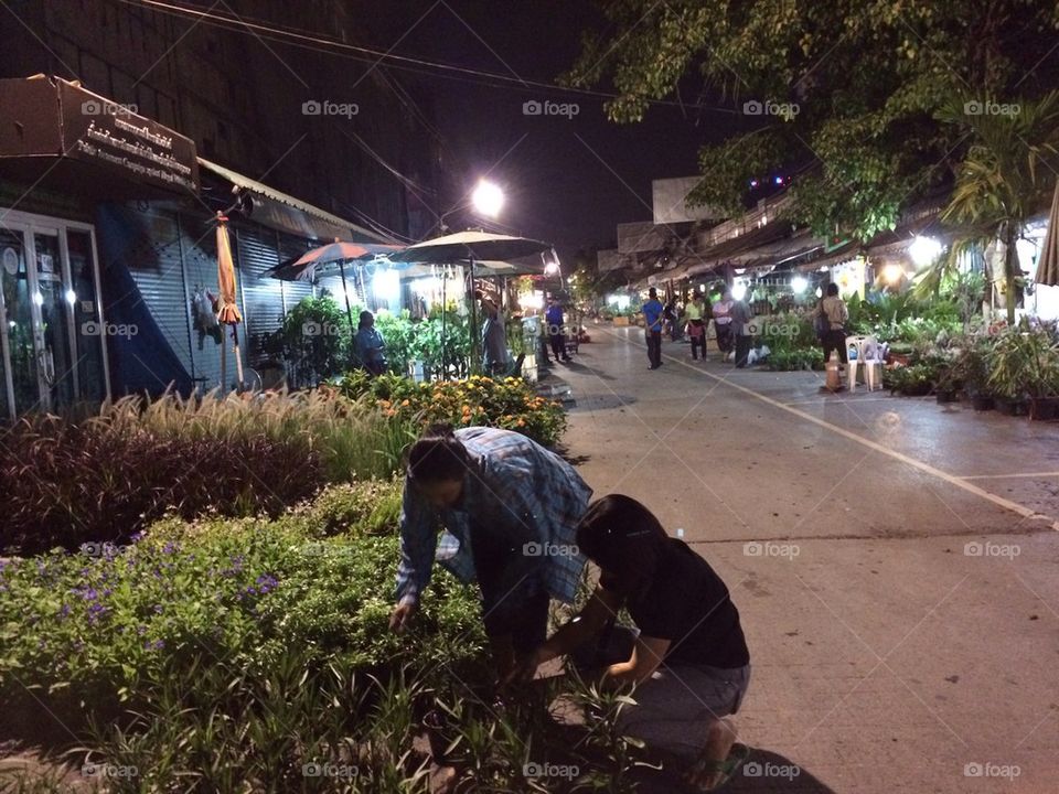 Night tree market
