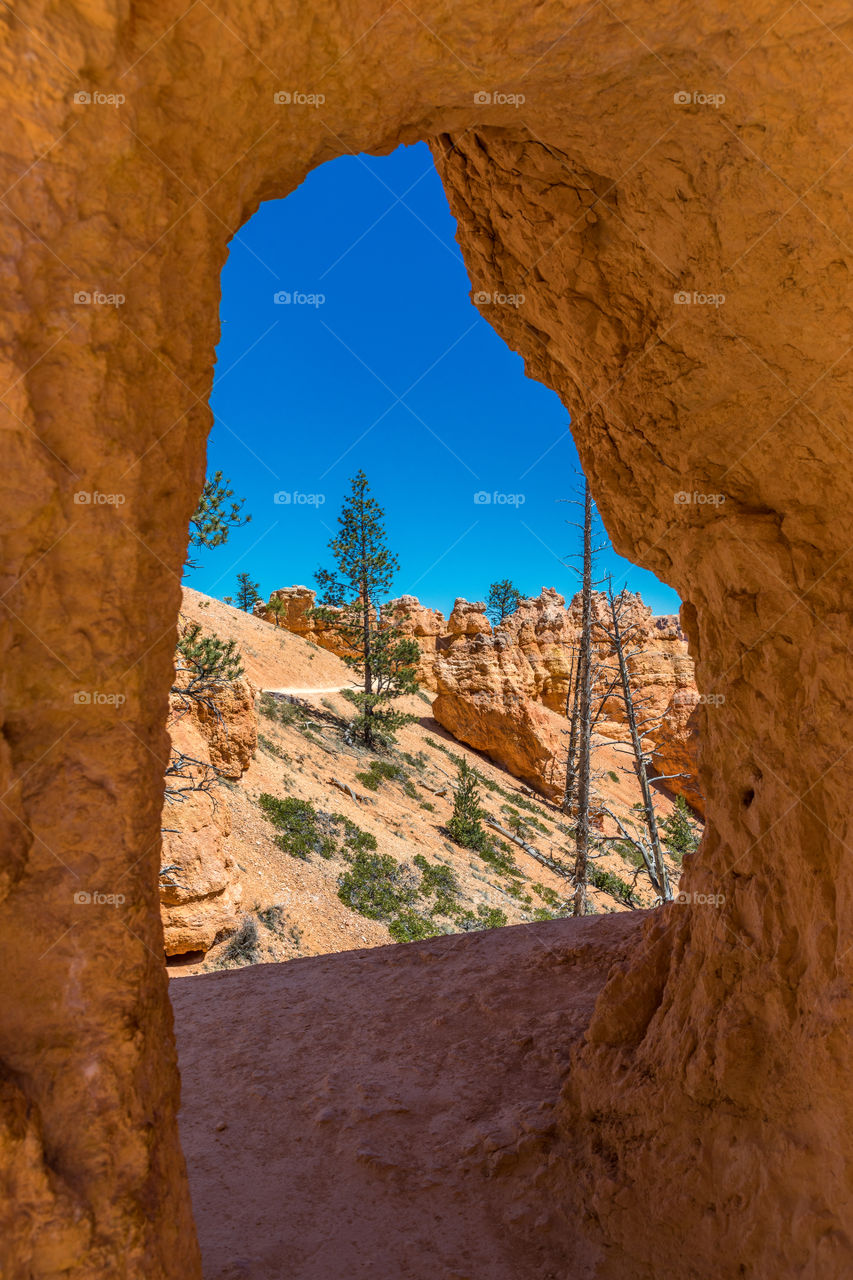 Window Rock