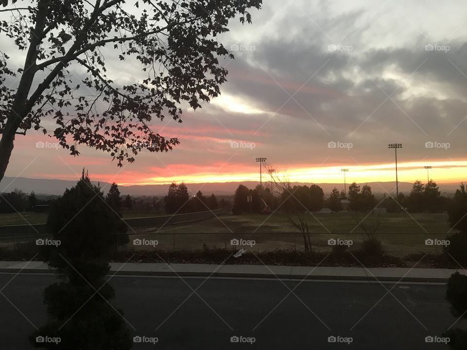 Sunset under the tree 